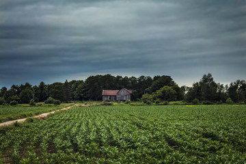 Fototapeta na wymiar abandoned farmhouse in the countryside landscape