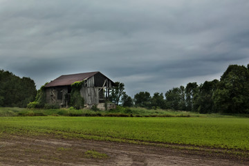 Fototapeta na wymiar abandoned farmhouse in the countryside