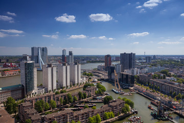 Fototapeta premium Rotterdam skyline