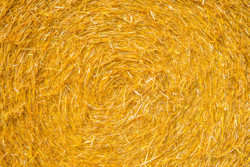 Detail of a round straw bale in sunlight