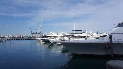 Fototapeta premium miami marina