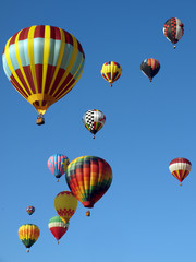 Colorful Hot Air Balloons Fly in a Clear Blue Sky