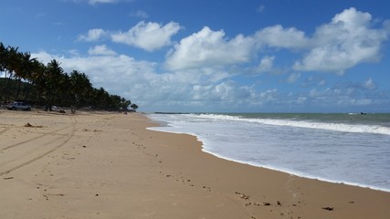 Tropical beach, seashore, waves and foam