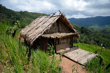 Fototapeta na wymiar a shack in khmer rice terrace