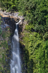 Fototapeta na wymiar Scenic Maui Waterfall