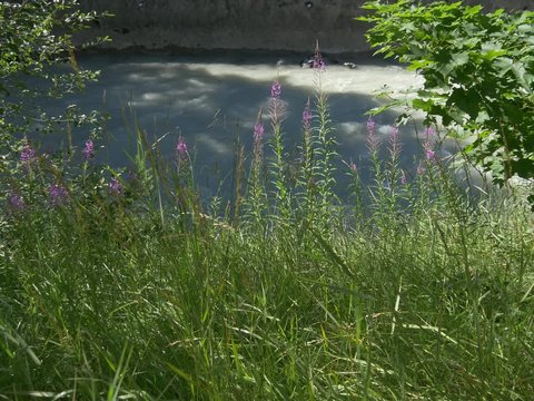 Vues sur rivi&egrave;re