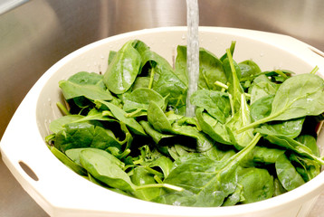 Rinsing spinach