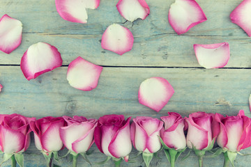 Frame of pink roses on turquoise rustic wooden background with copy space for message. Greeting card with flowers for Valentine's Day, Woman's Day and Mother's Day. Top view.