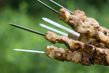 Barbecue on nature. Grilled pork meat on skewers