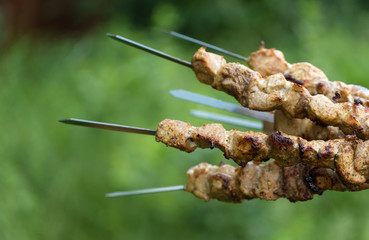 Barbecue on nature. Grilled pork meat on skewers
