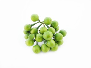 Eggplant isolated