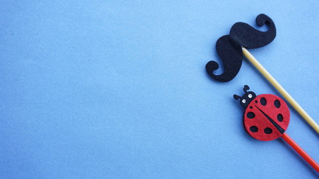 Top or flat lay view of Photo booth props a black mustache and a ladybird on a blue background flat lay. Birthday parties and weddings.