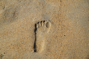 footprint on beach sand