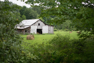 Obraz premium Full of Hay