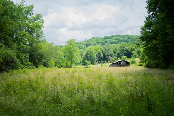 Fototapeta premium Abandon Barn