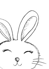 Cute Rabbit Sketch