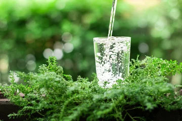 Poster a glass of cool fresh water on natural green background © Cozine
