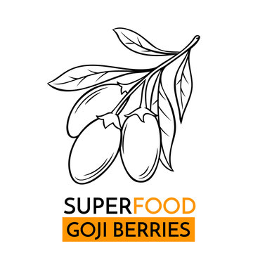 vector icon superfood goji berry