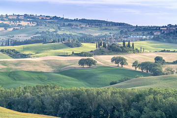 Fototapeta premium Tuscany