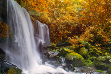 beautiful waterfall in rainforest at phu tub berk mountain  phetchabun, Thailand (Mun Dang waterfalls)