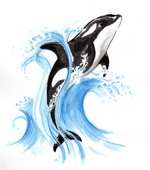 Jumping orca © berdsigns
