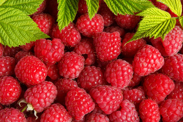 Fresh and sweet raspberries background