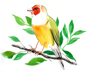 Yellow watercolor bird