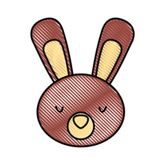 cute and tender rabbit vector illustration design