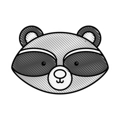cute and tender raccoon vector illustration design