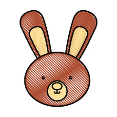 cute and tender rabbit vector illustration design