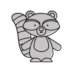 cute and tender raccoon vector illustration design