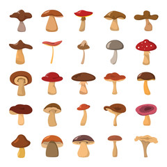 Cartoon mushrooms vector illustration set.