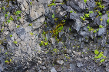 Basalt columns texture