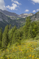 Fototapeta premium Sommer in der Soierngruppe