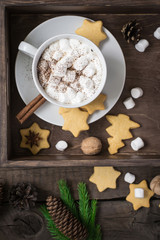 Obraz na płótnie Canvas Cup of cocoa with marshmallow and cookies. Selective focus