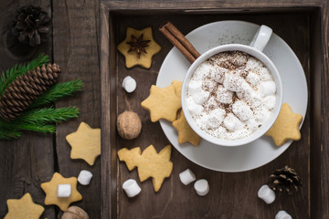 Obraz na płótnie Canvas Cup of cocoa with marshmallow and cookies. Selective focus. Christmas decor