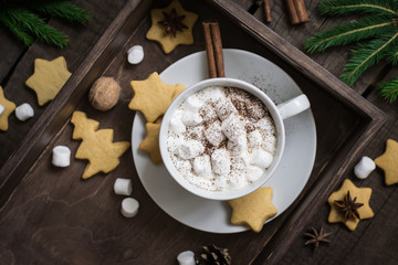 Cup of cocoa with marshmallow and cookies. Selective focus. Christmas decor