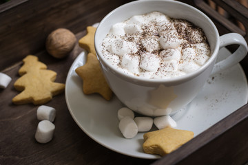Fototapeta na wymiar Cup of cocoa with marshmallow and cookies In tray closeup. Selective focus. Christmas decor