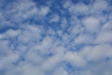 Fototapeta premium white fluffy clouds in the blue sky