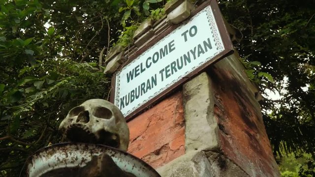 Entrance to Trunyan Cemetery, Bali, sign, scented Taru Menyan tree and human skull on pedestal