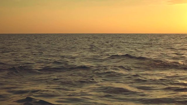 Dolphins jumping in ocean on sunrise, Lovina, Bali