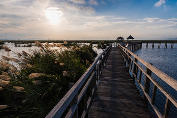 Fototapeta premium sunset scene at Bung Bua at Khao Sam Roi Yod National park, Thailand