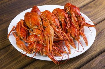 Tasty boiled crayfishes on a white plate
