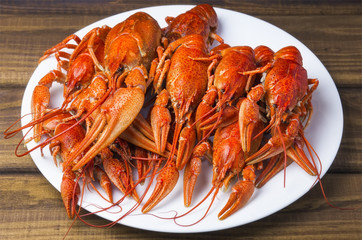 Tasty boiled crayfishes on a white plate
