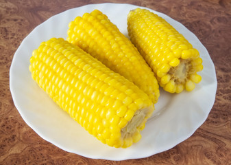 Cooked boiled corn on a white plate