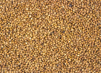 Raw brown buckwheat grain. Food texture or background