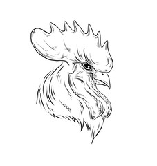 Rooster head closeup on white background