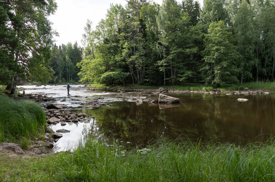 Swedish river and natural salmon area in summer with a fisherman