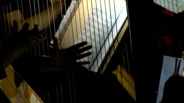 The symphony orchestra plays in classical music in the orchestra pit in the opera house. Hands of a musician playing the harp Closeup