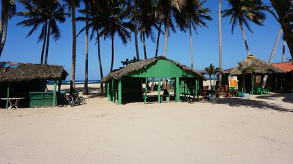 caribbean beach
